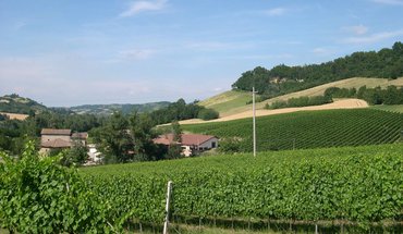 Azienda Agricola Isola