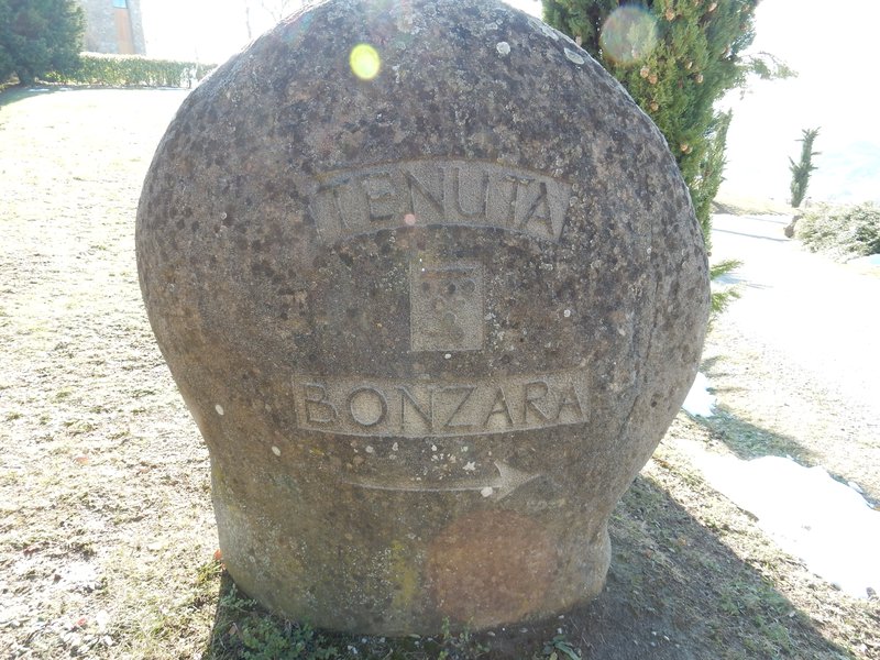 Tenuta Bonzara