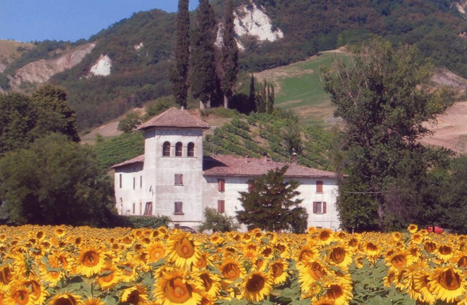 L'Ospitale con girasoli
                                 Foto di: Concorso fotografico