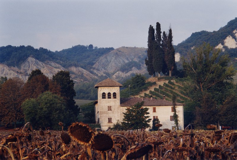 L&#x27;Ospitale con girasoli