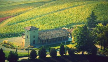 Tenuta Bonzara