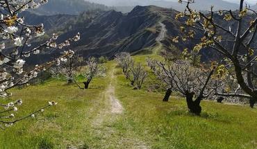 Podere la piana