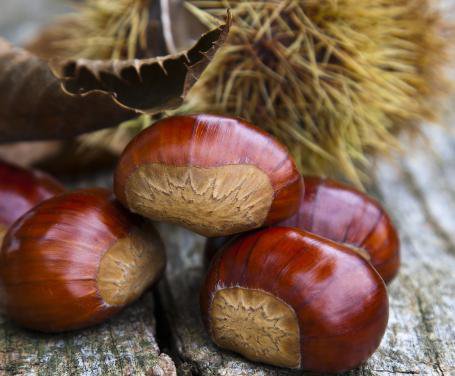 marroni