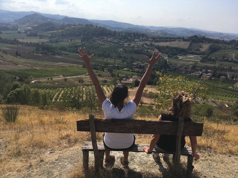 ola al panorama