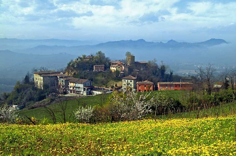 Oliveto